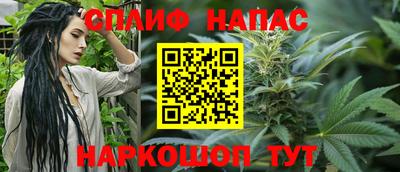 стаф Шелехов