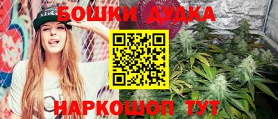 стаф Шелехов