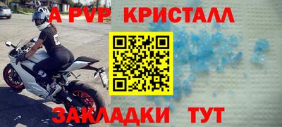 стаф Шелехов