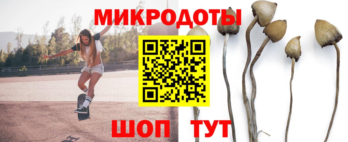 Галлюциногенные грибы прущие грибы Горно-Алтайск